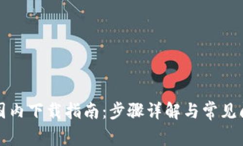 TP钱包国内下载指南：步骤详解与常见问题解答