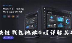 什么是区块链钱包地址0x？详解其功能与应用