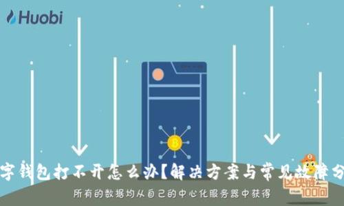 数字钱包打不开怎么办？解决方案与常见故障分析