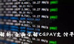 CGPAY官网解析：全面了解