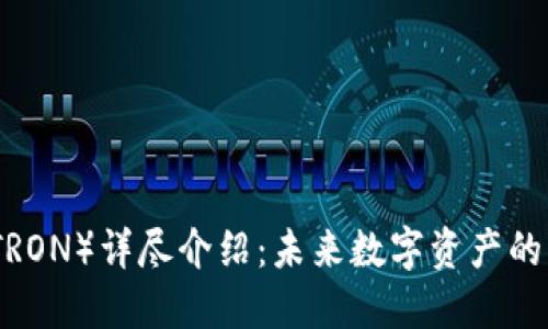 波场币（TRON）详尽介绍：未来数字资产的发展趋势