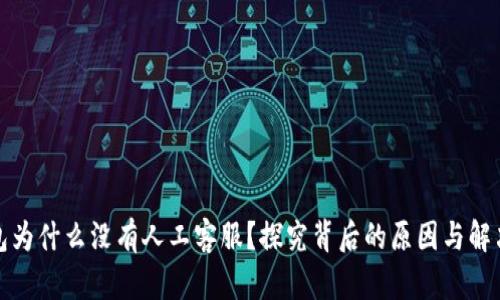 TP钱包为什么没有人工客服？探究背后的原因与解决方案