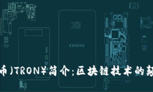波场币（TRON）简介：区块链技术的颠覆者