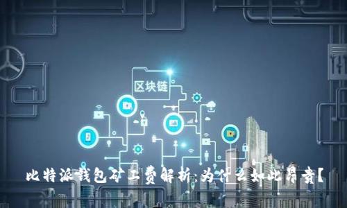 比特派钱包矿工费解析：为什么如此昂贵？