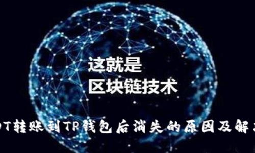 : USDT转账到TP钱包后消失的原因及解决方法
