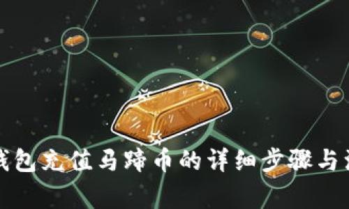 小狐狸钱包充值马蹄币的详细步骤与注意事项