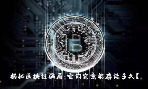 揭秘区块链骗局：它们究竟能存活多久？