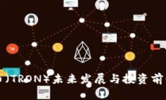 波场币（TRON）未来发展与