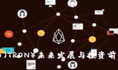 波场币（TRON）未来发展与投资前景分析