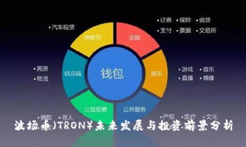 波场币（TRON）未来发展与投资前景分析