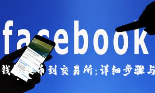 如何从TP钱包提币到交易所：详细步骤与注意事项