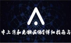 如何在TP钱包中上传和更换头像？详细指南与常见