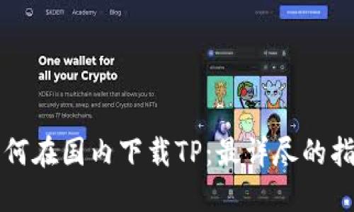 如何在国内下载TP：最详尽的指南